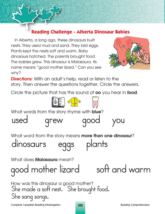 This jumbo, full-colour workbook, which includes a kindergarten skills developmental checklist, parent suggestions, and ideas for easy at-home learning activities, will give children the tools they need to build a solid foundation of early reading skills. By following the curriculum taught in Canadian schools, the lessons and activities in the Kindergarten Complete Canadian Reading workbook will give children the confidence required to excel in the classroom and beyond. 352 pages // ISBN: 9781770629073