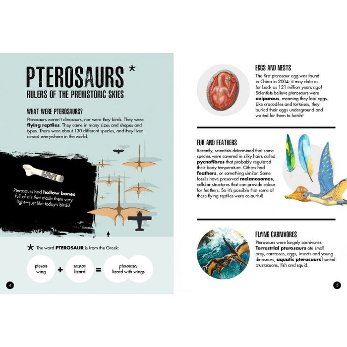 Read the 32-page illustrated book full of fascinating facts about dinosaurs and the Pteranodon and then piece together your own Pteranodon 3D 60 -piece model with a wingspan of more than 1 metre! The model is easy and fun to assemble and doesn’t require glue or scissors.  During the Mesozoic Era, when dinosaurs roamed the Earth, the skies overhead were filled with flying reptiles.