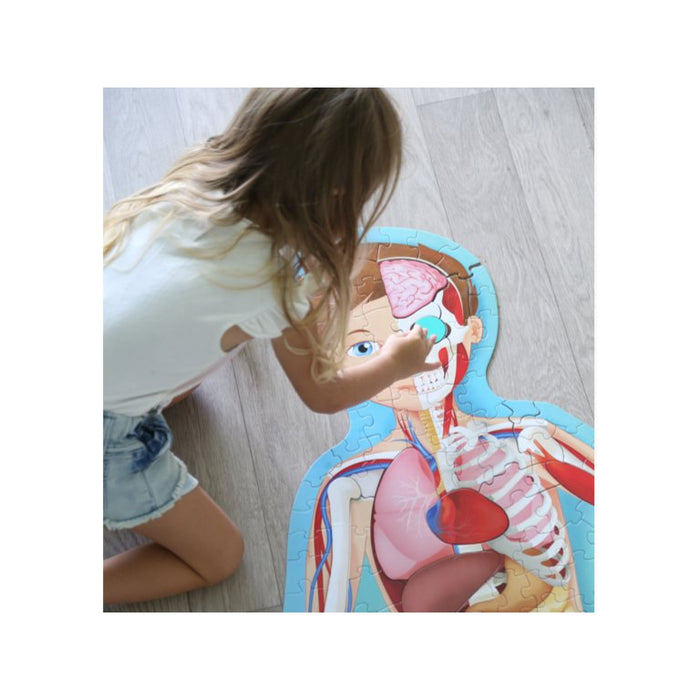 Learning anatomy made fun with a 3 feet tall, 200 piece floor puzzle and 32-page book!  Put together the detailed puzzle and read the book to learn all about the cycle of life and the human body! Take a fascinating tour of the human body! How does your respiratory system work? What kind of bones make up a skeleton? How does food get digested? How many cells does one body contain?  Ideal for ages 6 and up