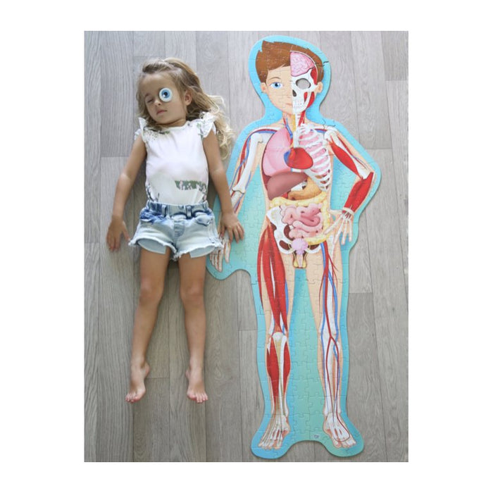 Learning anatomy made fun with a 3 feet tall, 200 piece floor puzzle and 32-page book!  Put together the detailed puzzle and read the book to learn all about the cycle of life and the human body! Take a fascinating tour of the human body! How does your respiratory system work? What kind of bones make up a skeleton? How does food get digested? How many cells does one body contain?  Ideal for ages 6 and up