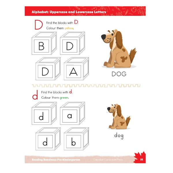 Letter recognition activity for uppercase and lowercase D using toy alphabet blocks