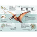 Read the 32-page illustrated book full of fascinating facts about dinosaurs and the Pteranodon and then piece together your own Pteranodon 3D 60 -piece model with a wingspan of more than 1 metre! The model is easy and fun to assemble and doesn’t require glue or scissors.  During the Mesozoic Era, when dinosaurs roamed the Earth, the skies overhead were filled with flying reptiles.