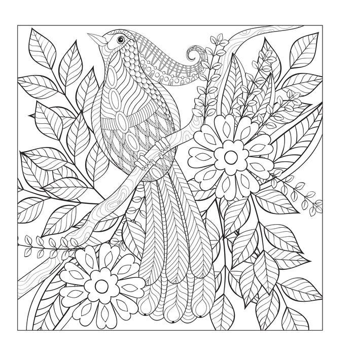 Birds - inside page - adult colouring book